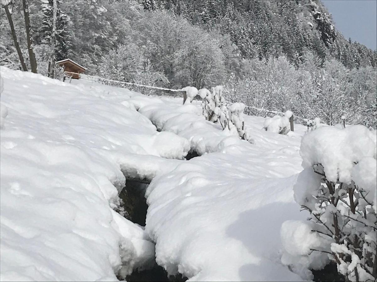 Le Blanc Nordique Villa Le Bouchet-Mont Charvin Eksteriør billede